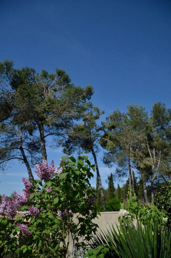 Mas Du Puech Clapas Villa Assas Dış mekan fotoğraf