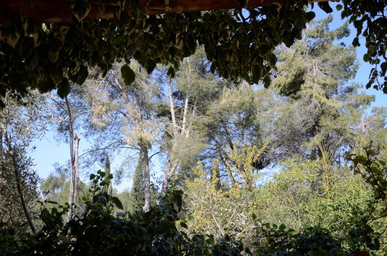 Mas Du Puech Clapas Villa Assas Dış mekan fotoğraf